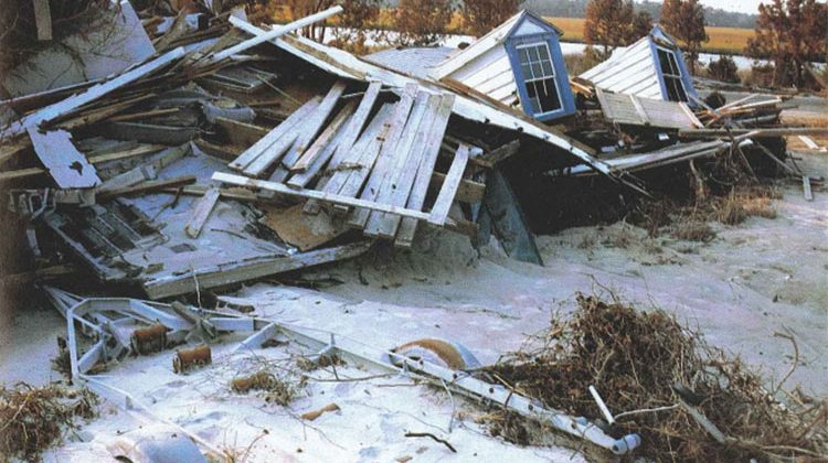 Hurricane Hugo aftermath: Pawleys Island, SC