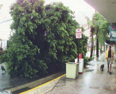 Duval Street in Key West, FL after Hurricane Georges in 1998