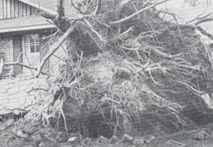 Hurricane Frederic aftermath, 1979