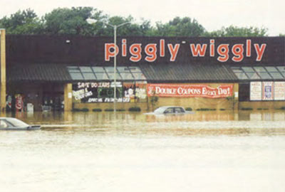 Piggly Wiggly on Rocky Creek Road, Macon GA